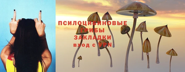 прущая мука Нягань