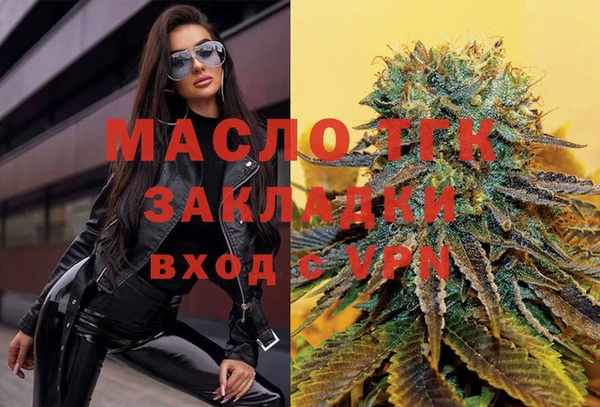 гашик Ветлуга