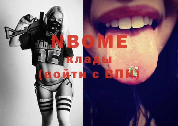 прущий лед Новозыбков