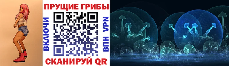 Купить где  Лосино-Петровский  Галлюциногенные грибы Psilocybine cubensis 